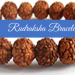 20-Rudraksha Bracelet