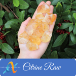 29 - Citrine Raw