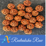 44-Rudraksha Raw